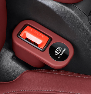 2-Pack Seat Belt Buckle Booster