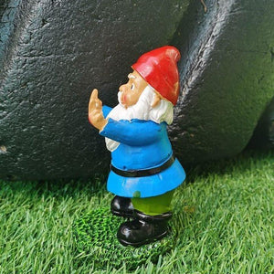RUDE GARDEN GNOME, SWEARING GNOME
