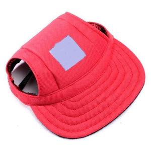 Fashion Pet Hat