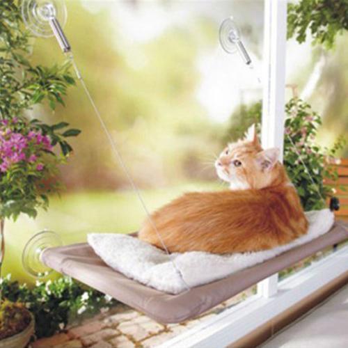 Cat Hammock