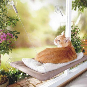 Cat Hammock