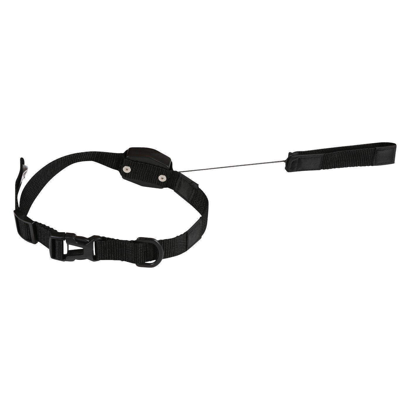 Dog Collar
