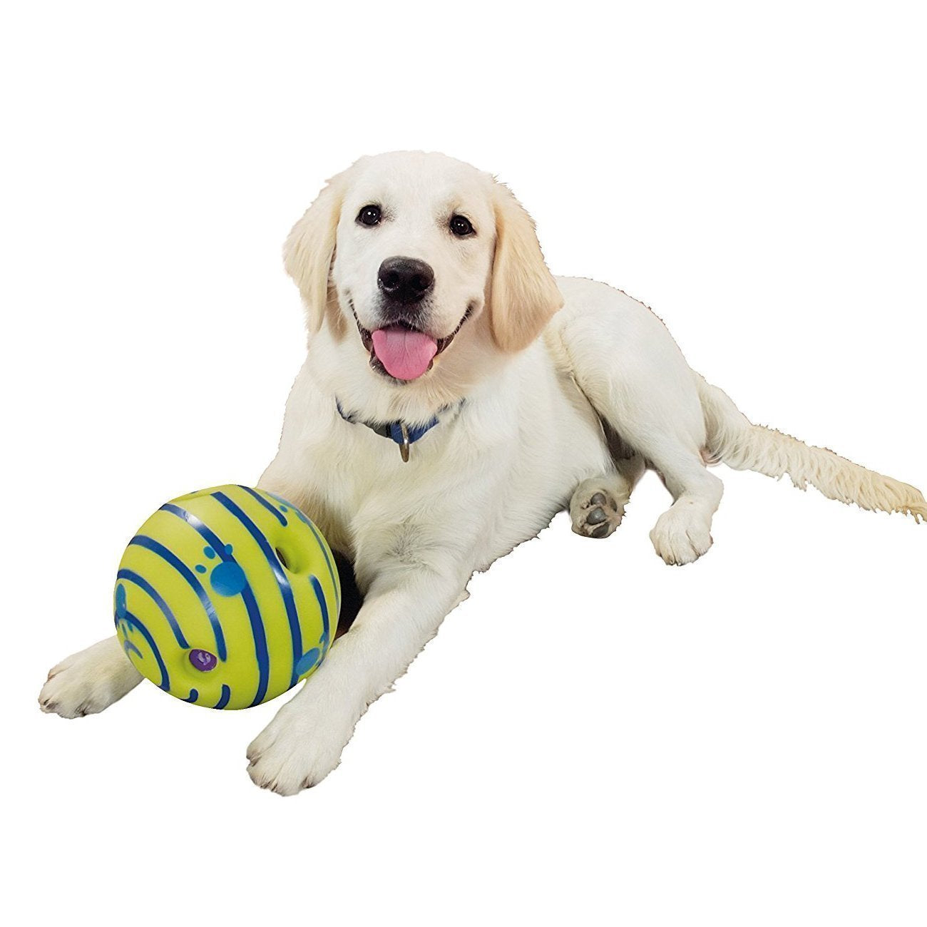 Pet Toy Balls