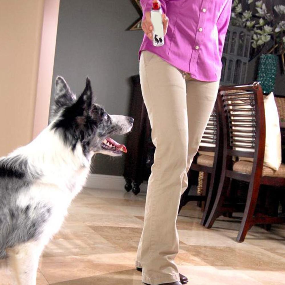 Pet Training Spray