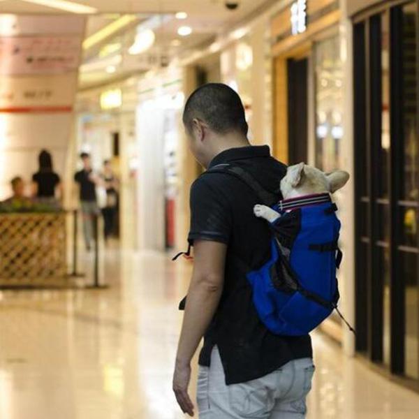 Outdoor Portable Pet Backpack