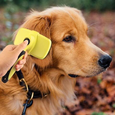Pet Grooming Brush