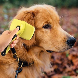 Pet Grooming Brush