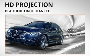 Angel Wings car welcome light