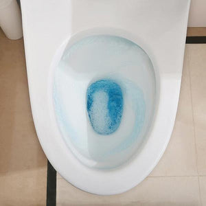 Toilet Bowl Cleaner Tablets