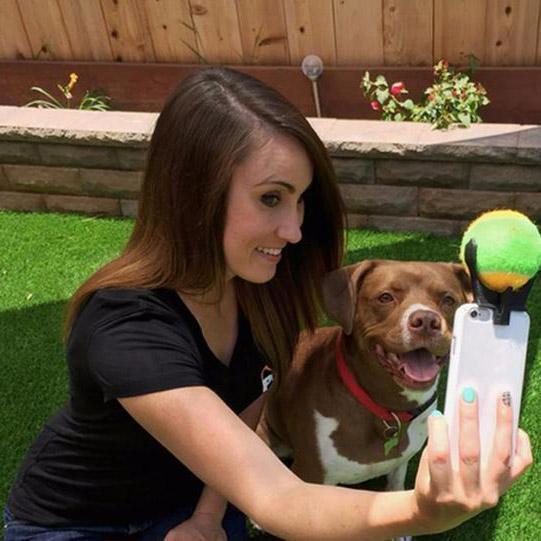 Pet Selfie Stick(1 Set)