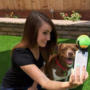 Pet Selfie Stick(1 Set)