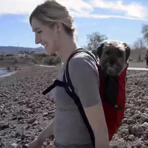 Outdoor Portable Pet Backpack