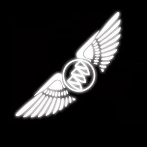 3D Angel Wings Laser Car Sticker✨4PCS✨