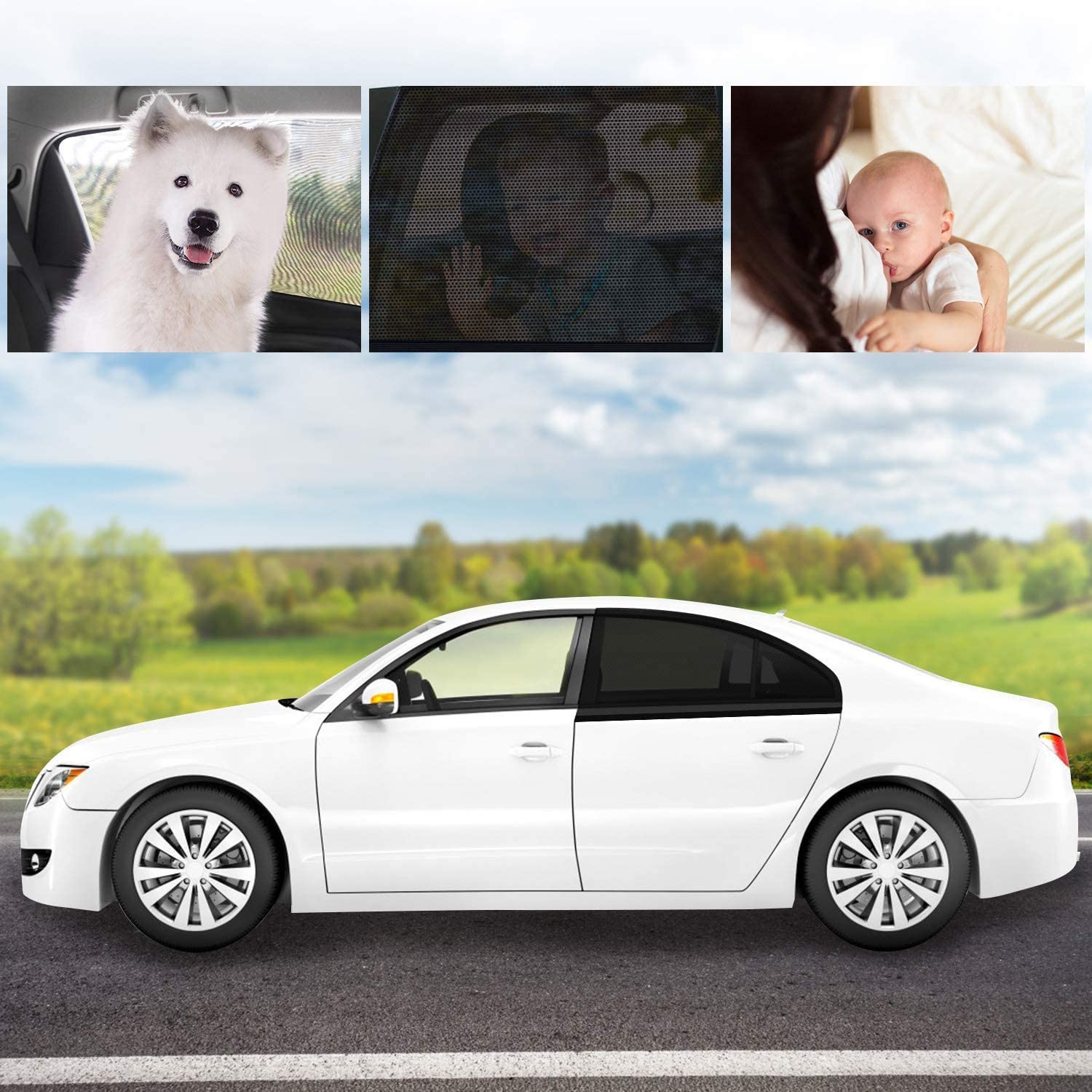 MLLOOK® Universal Car Window Screens