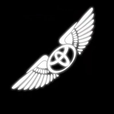 3D Angel Wings Laser Car Sticker✨4PCS✨