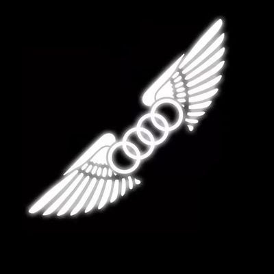 3D Angel Wings Laser Car Sticker✨4PCS✨