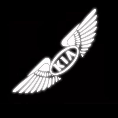 3D Angel Wings Laser Car Sticker✨4PCS✨