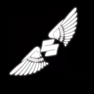 3D Angel Wings Laser Car Sticker✨4PCS✨