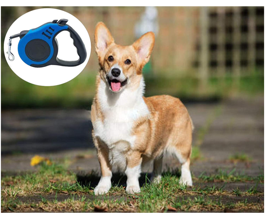 Dog traction rope foldable dog bowl collection garbage bag 3-piece set