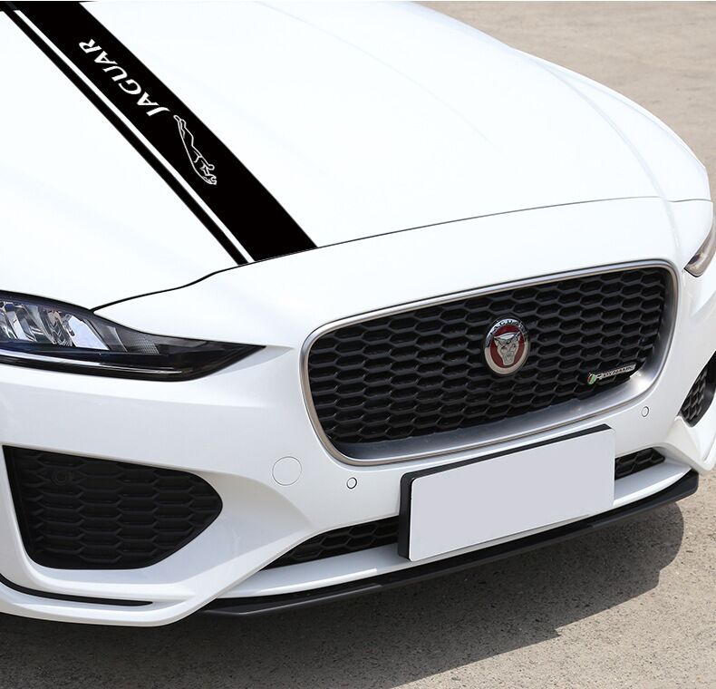 Car hood decoration creative sticker